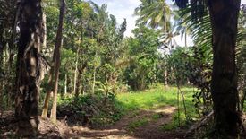 Land for sale in Mangas I, Cavite