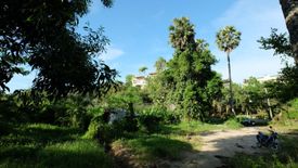 Land for sale in Choeng Thale, Phuket