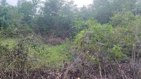 Land for sale in Dao, Bohol