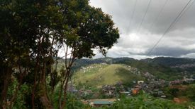 Land for sale in La trinidad, Benguet