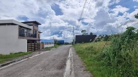 Land for sale in Cadulawan, Cebu