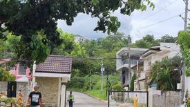 Land for sale in Cadulawan, Cebu