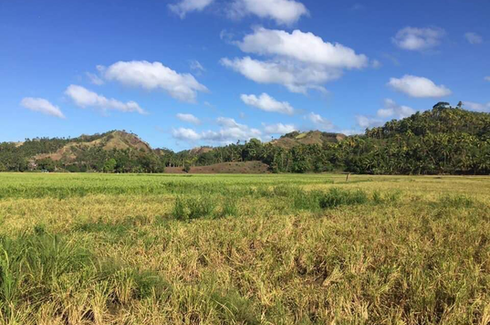 Land for sale in Guimbaoyan Sur, Samar