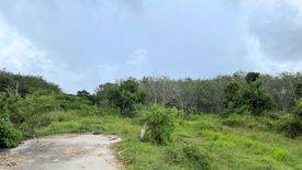 Land for sale in Thep Krasatti, Phuket