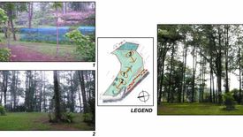 Land for sale in Camp 7, Benguet