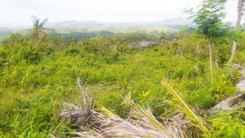 Land for sale in Poblacion III, Cebu