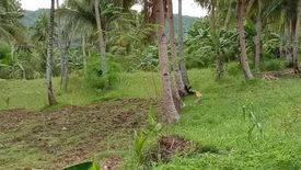Land for sale in Kang-Actol, Cebu