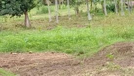 Land for sale in Kang-Actol, Cebu