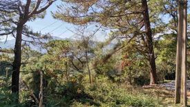 Land for sale in Tadiangan, Benguet