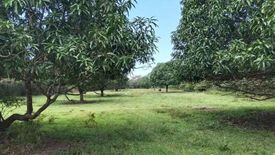 Land for sale in Dirita-Baloguen, Zambales