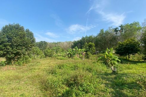 Land for sale in Mai Khao, Phuket