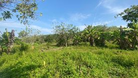 Land for sale in Mai Khao, Phuket