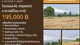 Land for sale in Niyom Chai, Lopburi