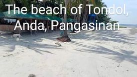 Land for sale in Tondol, Pangasinan