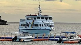 Land for sale in Biaan, Bataan