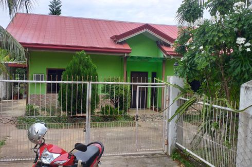 House for sale in Kinamandagan, Siquijor