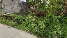 Land for sale in Dao, Bohol