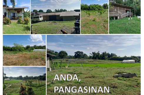 Land for sale in Awile, Pangasinan