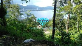 Land for sale in Patong, Phuket