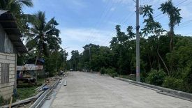 Land for sale in Bingag, Bohol