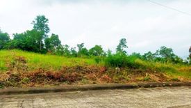 Land for sale in Kinasang-An Pardo, Cebu