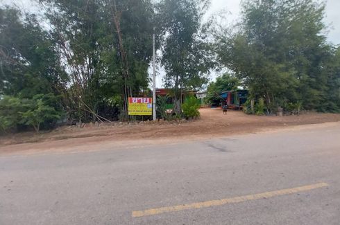 Land for sale in Wang San, Nakhon Sawan