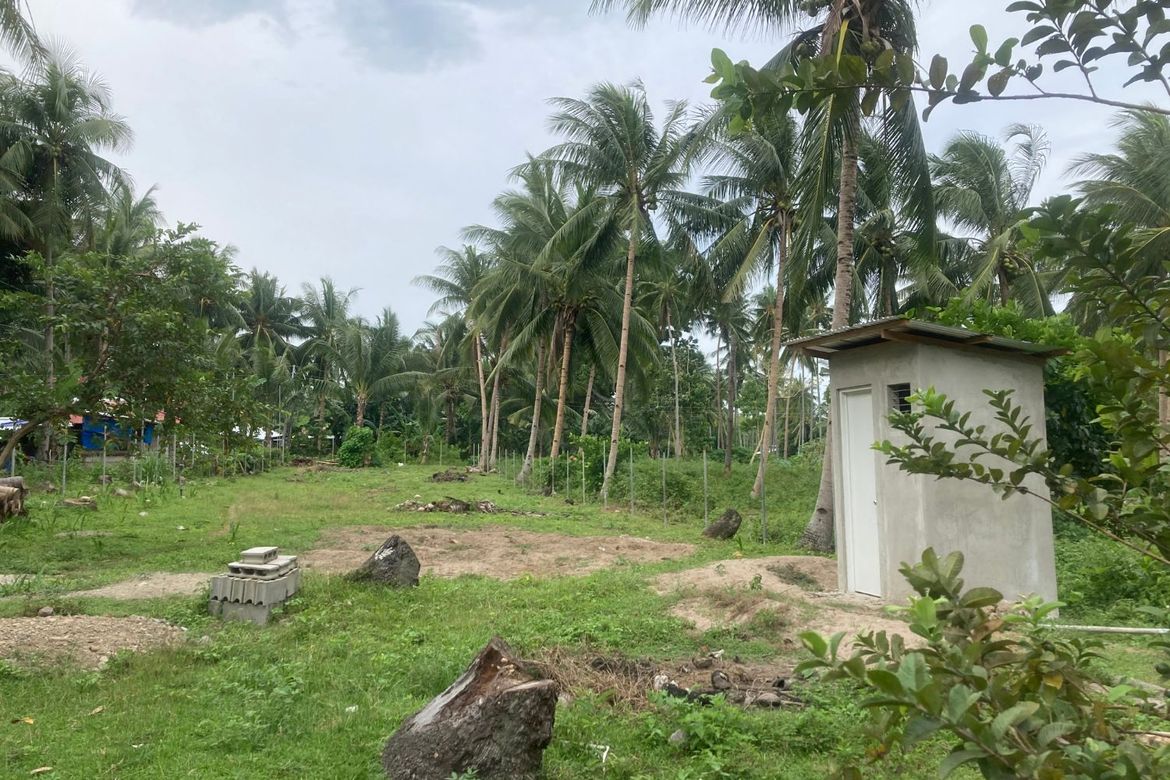 PRICE REDUCED!! BUILDING LOT FOR SALE IN DAUIN 📌 Land for sale in
