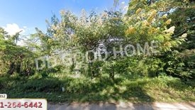 Land for sale in Mon Pin, Chiang Mai