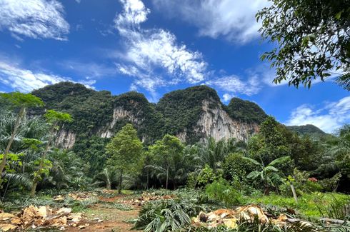 ขายที่ดิน ใน เขาทอง, เมืองกระบี่