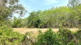 Land for sale in Na Toei, Phang Nga