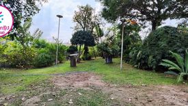 Land for sale in Huai Kapi, Chonburi