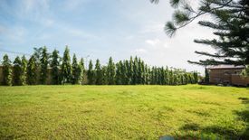 Land for sale in Alabang, Metro Manila