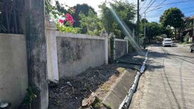 Land for sale in San Isidro, Metro Manila