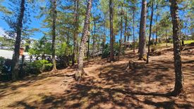 Land for sale in Outlook Drive, Benguet