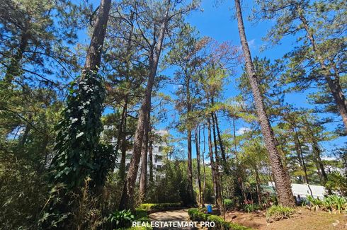 Land for sale in Outlook Drive, Benguet
