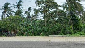 Land for sale in Carayman, Samar