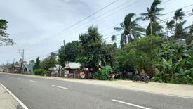 Land for sale in Carayman, Samar