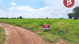 Land for sale in Si Thep, Phetchabun