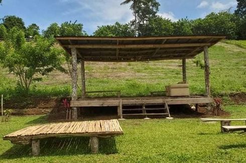 Land for sale in Kinawe, Bukidnon