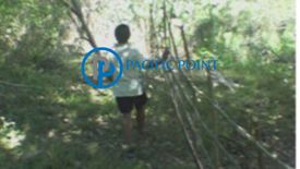 Land for sale in San Benito Sur, La Union