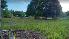 Land for sale in Taritien, Palawan