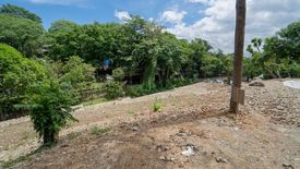 Land for sale in Pansol, Metro Manila