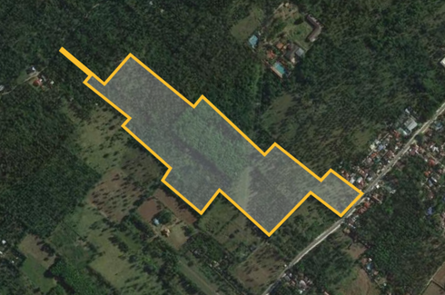 Land for sale in Santa Cruz, Batangas