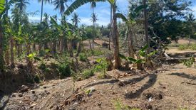 Land for sale in Gregorio Pelaez, Misamis Oriental