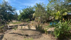 Land for sale in Gregorio Pelaez, Misamis Oriental