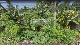 Land for sale in San Vicente, Bohol