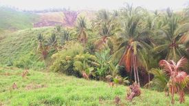 Land for sale in San Jose, South Cotabato