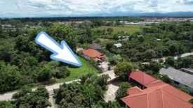 Land for sale in San Phak Wan, Chiang Mai