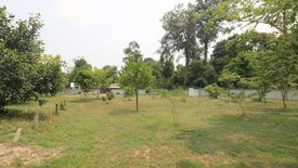 ขายที่ดิน ใน บ้านจั่น, เมืองอุดรธานี