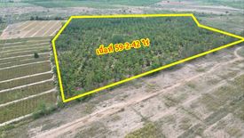 Land for sale in Nong Phlap, Prachuap Khiri Khan